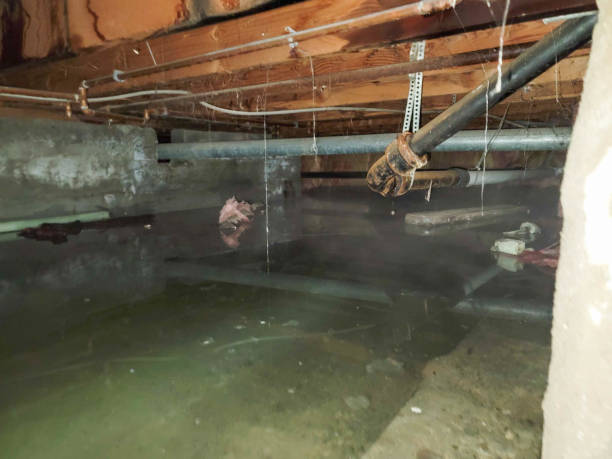 Best Commercial water damage restoration  in Eastvale, CA