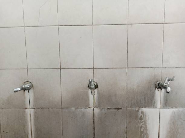Best Water damage contractors near me  in Eastvale, CA