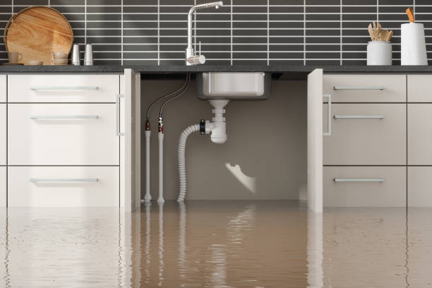 Best Flooded house restoration  in Eastvale, CA