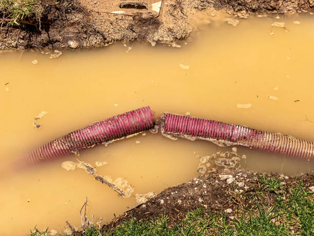 Best Water damage restoration near me  in Eastvale, CA