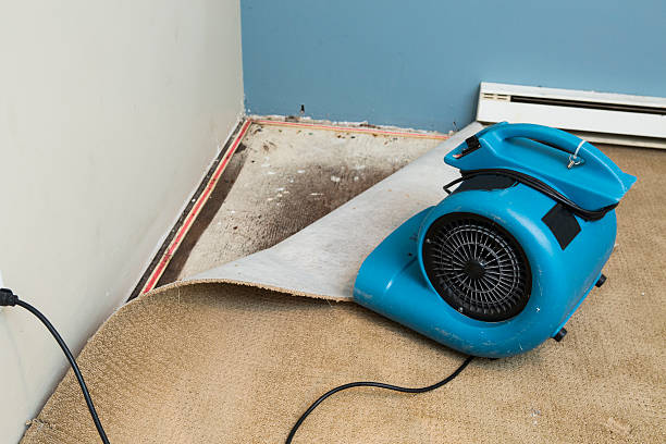 Best Carpet water damage restoration  in Eastvale, CA